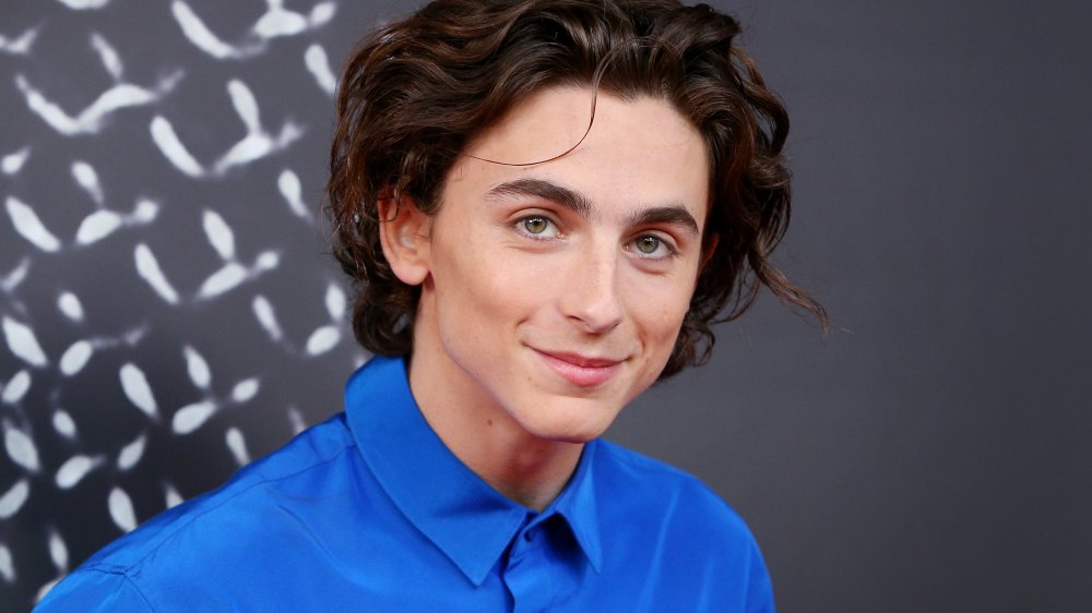 Timothée Chalamet