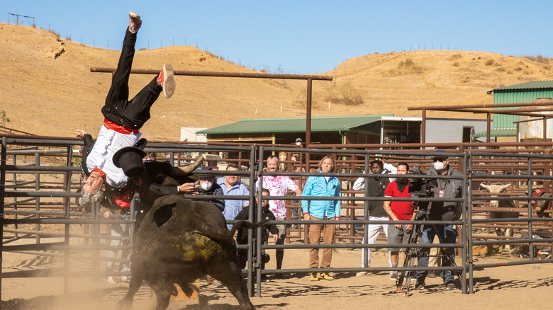 Bull flipping man in the air as others watch