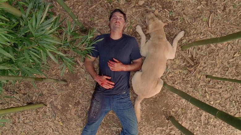 Jack and dog on Lost island