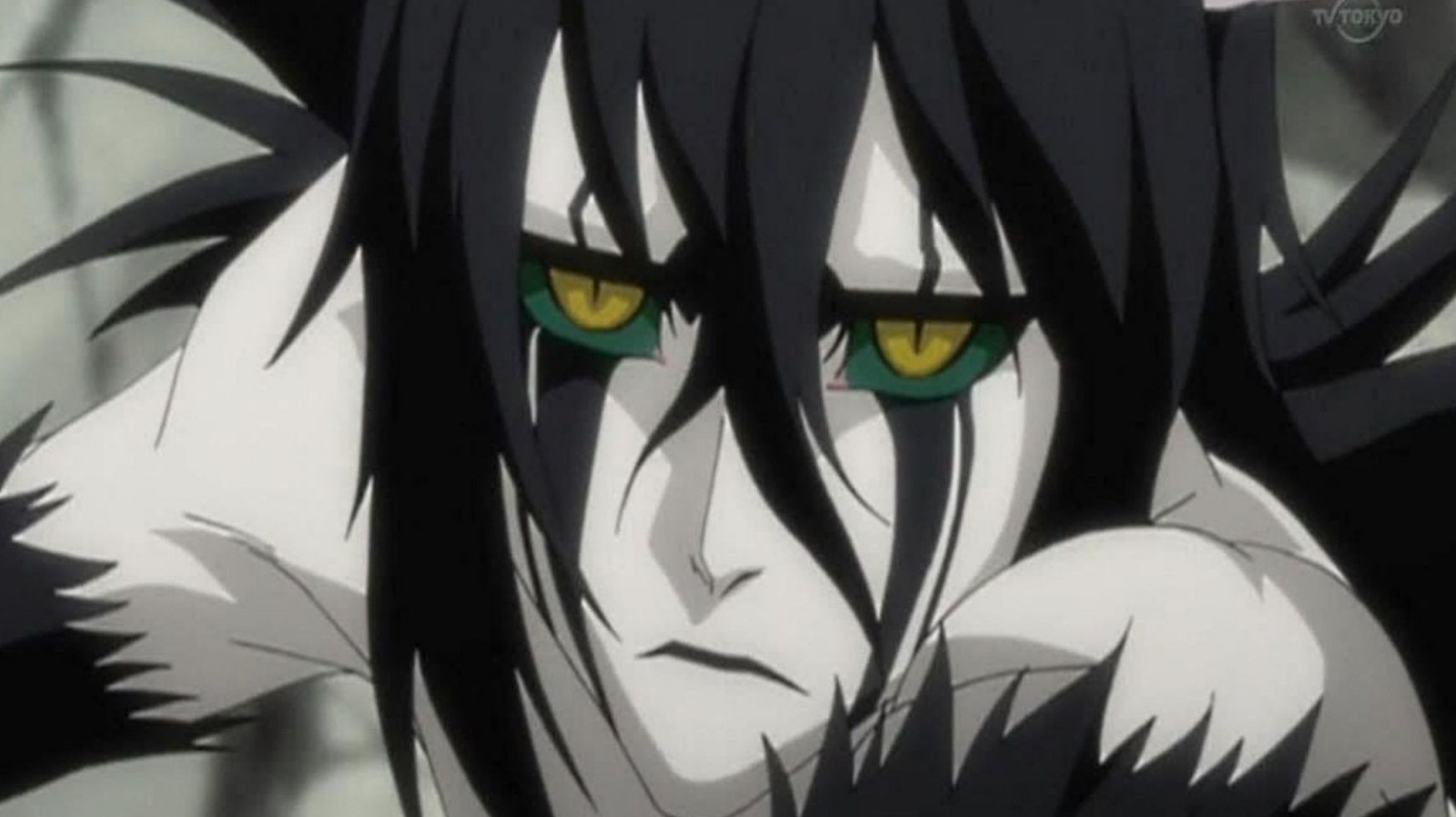 Bleach ulquiorra