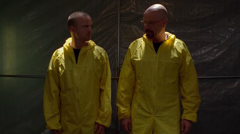 Cranston and Paul appear as Walt and Jesse