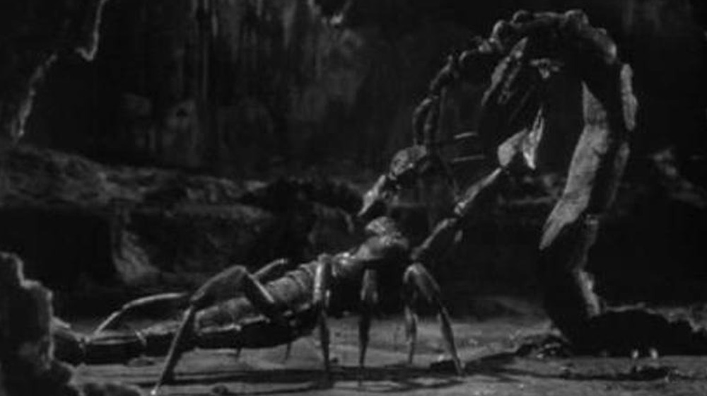 The Black Scorpion fight