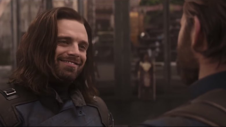 Cap and Bucky