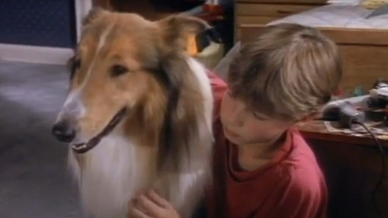 Will Estes on Lassie