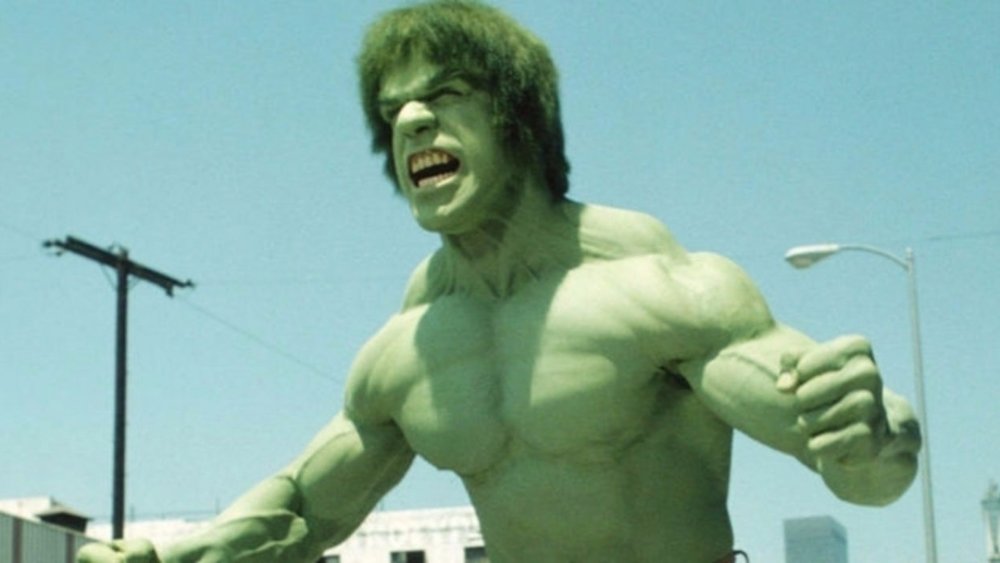 Lou Ferrigno as the Hulk