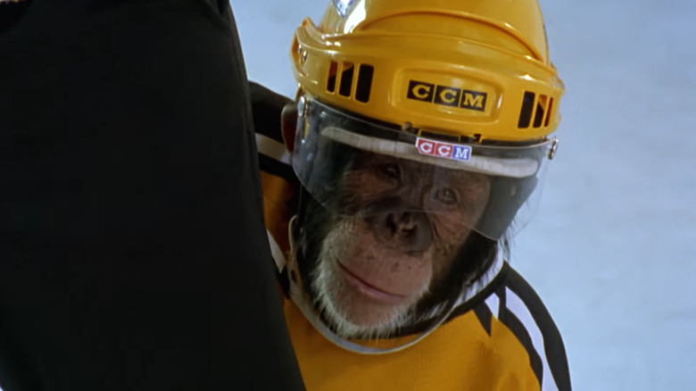 Chimp plays hockey