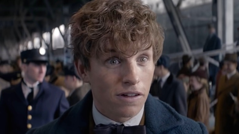 Fantastic Beasts Newt looks confused