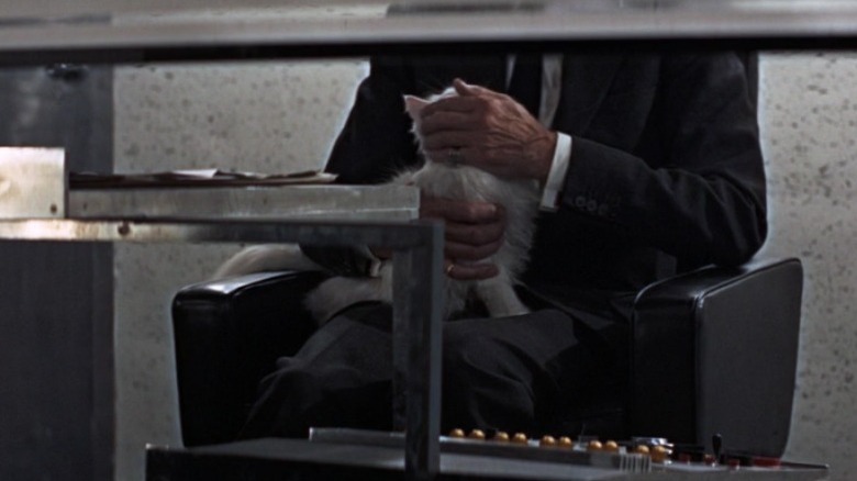 Blofeld stroking his cat