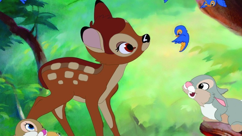 Bambi plays with Thumper