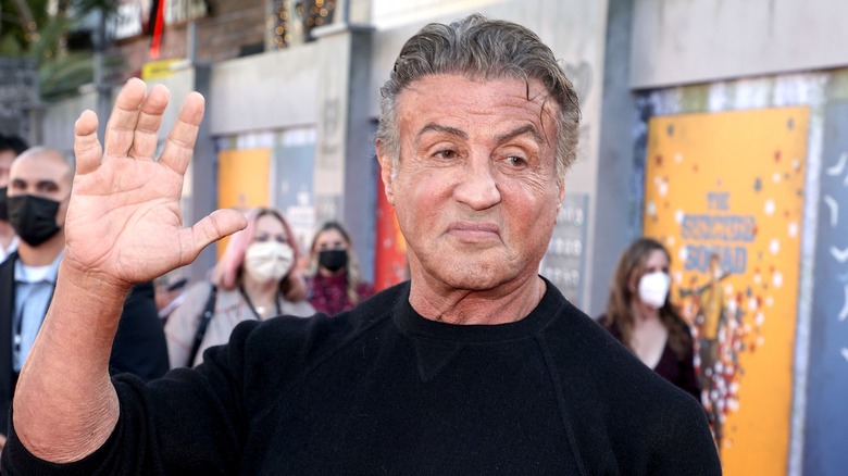 Sylvester Stallone at a red carpet event
