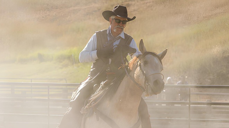 Lloyd chases the cattle