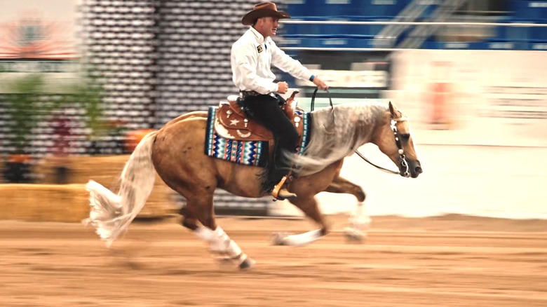 Andrea Fappani riding a horse