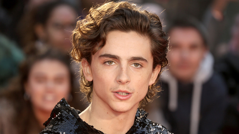 Timothée Chalamet smiling