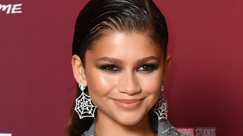 Zendaya And Tom Holland Have Some Interesting Spider-Man Roles Picked ...