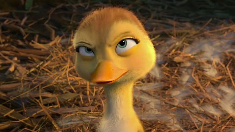 Chi the duckling smirking