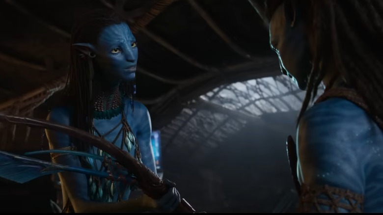 Neytiri pleading with Jake